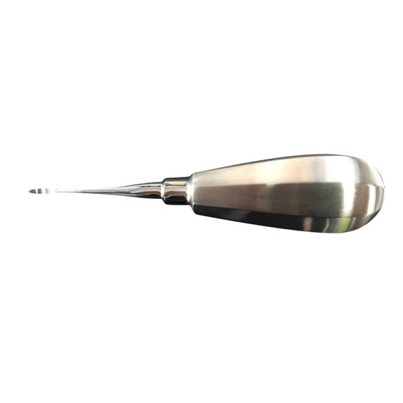Veterinary Dental Instrument
